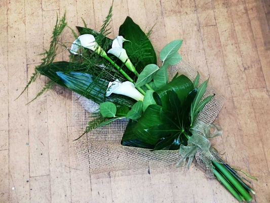 Sheaf White Calla Lily